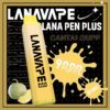 lana pen9000口哈密瓜 lana pen9000口哈密瓜
