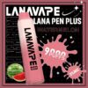 lana pen9000口西瓜 lana pen9000口西瓜